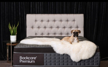 Backcare Beds - Premium