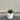 White ribbed planter with a green plant on a wooden floor against a gray wall