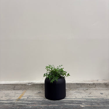 Charcoal Ribbed Planter Pots – Mix & Match or Grab the Full Set!